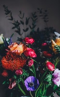 ILM_Bouquet